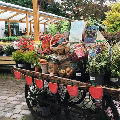 Apple Cart at Beetham Nurseries Apple Weekend