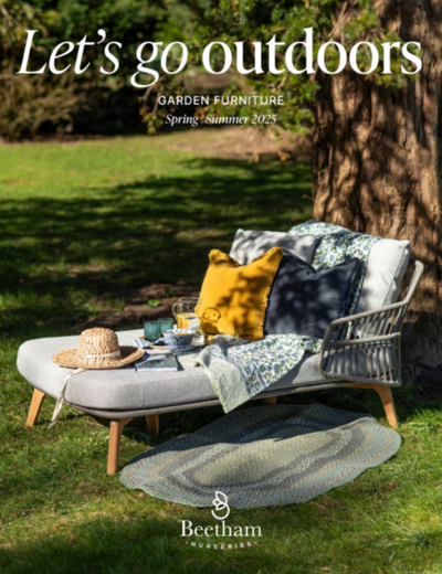 View our new brochure online!