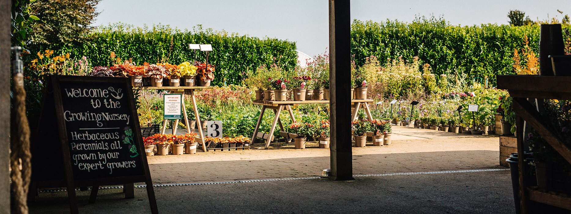 20% OFF AT THE GROWING NURSERY