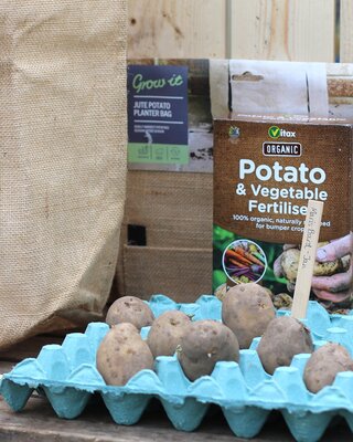 A Guide to Chitting Seed Potatoes A Guide to Chitting Seed Potatoes