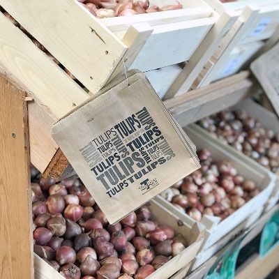 A Guide to Spring Flowering Bulbs A Guide to Spring Flowering Bulbs