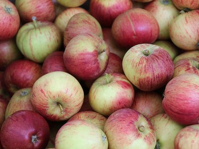 Apple Weekend 2023