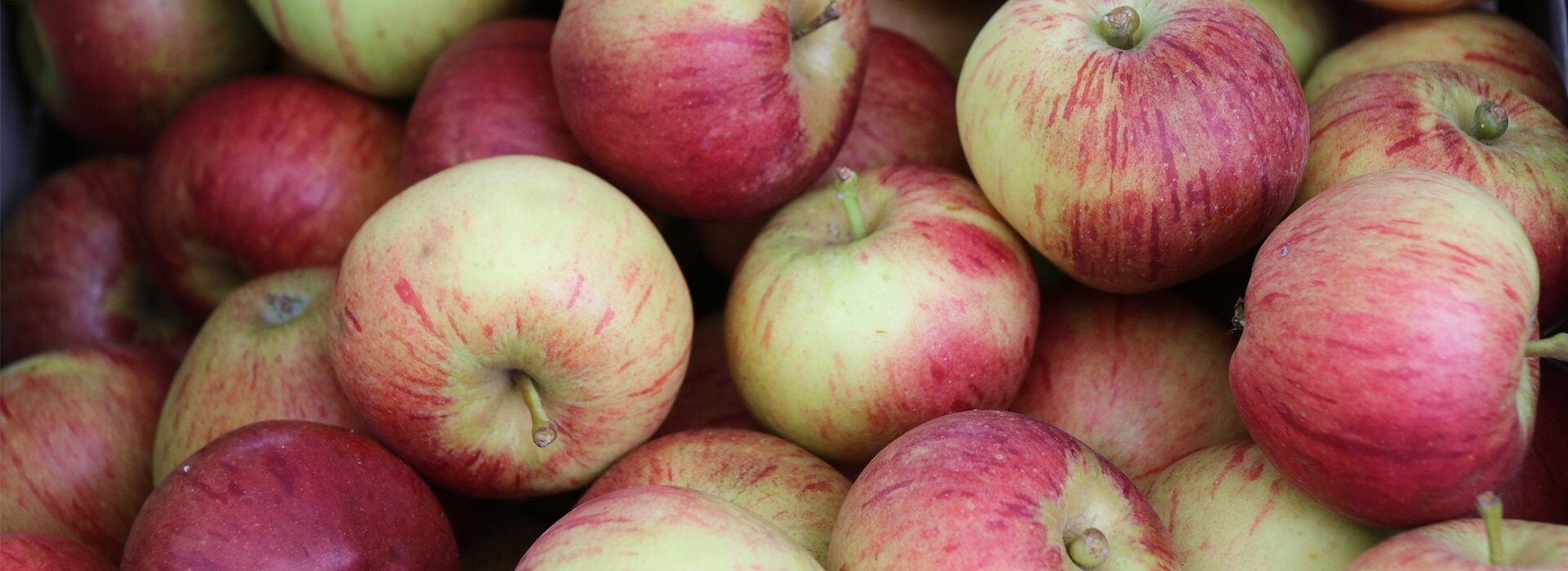 APPLE WEEKEND 2026
