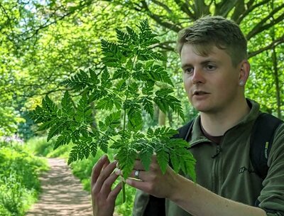 Foraging Day