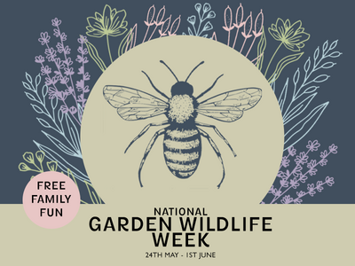 National Garden Wildlife Week – Half Term Fun