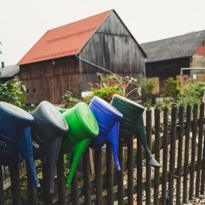 Watering Advice Watering Advice