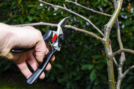 A Guide to Easy Garden Maintenance