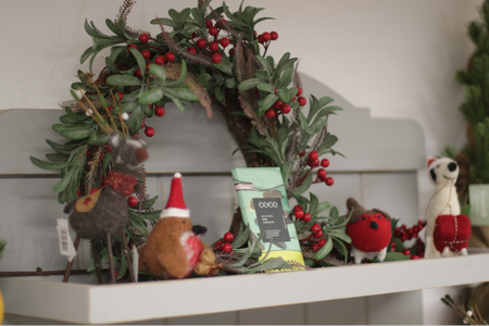 Beetham Nurseries Christmas Gift Guide