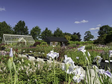 The Growing Nursery - Beetham Nurseries