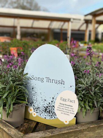 Get ready for Easter at Beetham Nurseries