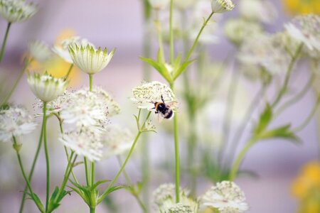 Grow Your Own: Sowing Seeds for Summer