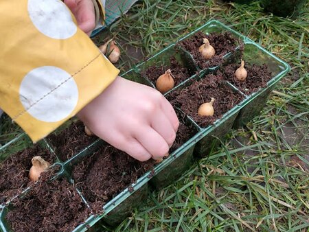 Introducing: Wildlings Storytime Sessions at Beetham Nurseries