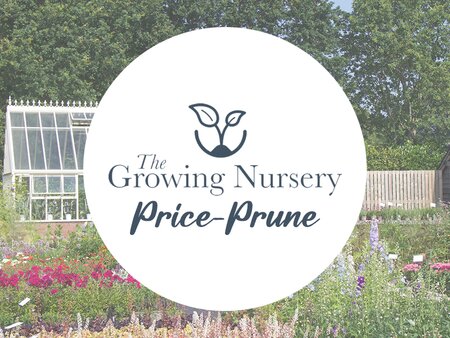 The Growing Nursery Price-Prune Is Here