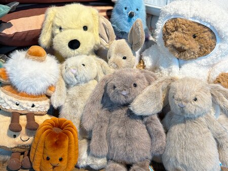 What's on this February Half Term?