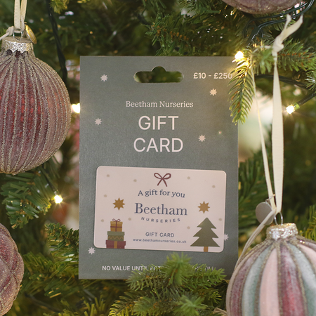 £15 Beetham Nurseries Christmas Gift Card