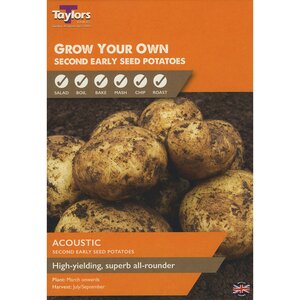 Acoustic Second Early Seed Potatoes