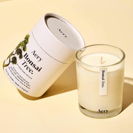 Aery Living Bonsai Tree Scented Candle - Birch Sap Orange & Yuzu