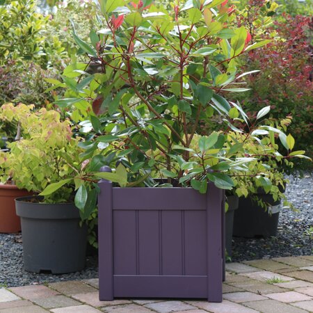 AFK Classic Painted 380 Lavender Planter