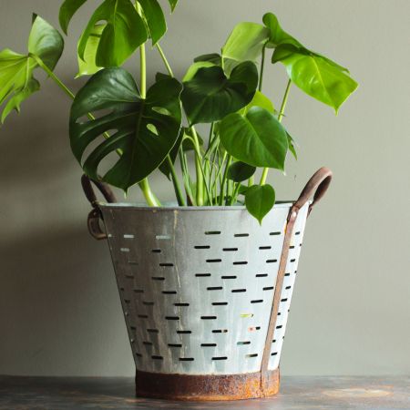 Antique Galvanised Metal Olive Basket Plant Pot