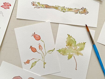 Autumn Treasures Watercolour Workshop - Wednesday 22nd September 2027
