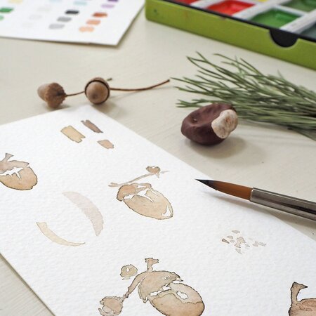 Autumn Treasures Watercolour Workshop - Wednesday 23rd September 2026