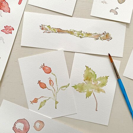Autumn Treasures Watercolour Workshop - Wednesday 23rd September 2026