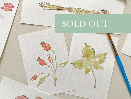 Autumn Treasures Watercolour Workshop - Wednesday 23rd September 2026