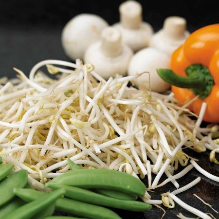 Beansprouts (Mung Bean) Seeds