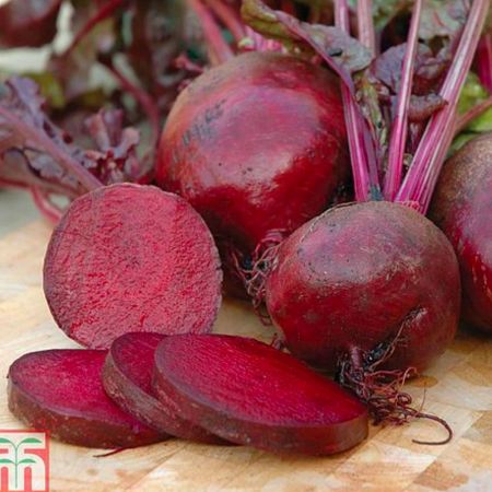 Beetroot Seeds - Boltardy