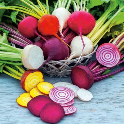 Beetroot Seeds - Rainbow Mix