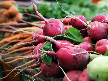 Beginners Guide to Growing Fruit & Veg Workshop - Tuesday 31st March 2026