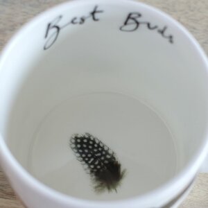 Best Buds Bird Mug by Anna Wright