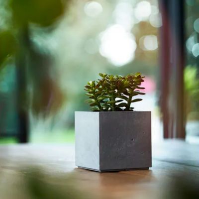 Beton Cube Light Grey Plant Pot - 11.5cm