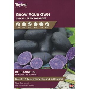 Blue Annelise Maincrop Seed Potatoes (Pack of 10 Tubers)
