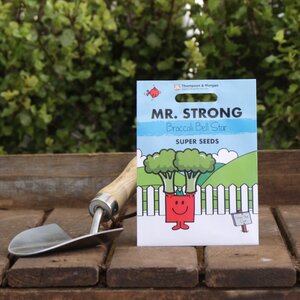Broccoli 'Bell Star' Seeds by Mr. Men™ Little Miss™ & Mr Strong