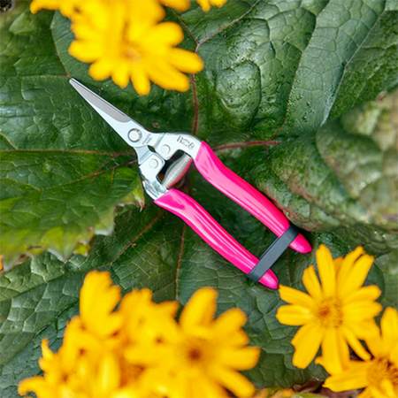 Burgon & Ball FloraBrite® Pink Bypass Flower & Fruit Snip