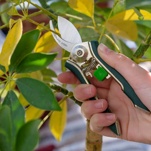 Burgon & Ball Houseplant Pruner