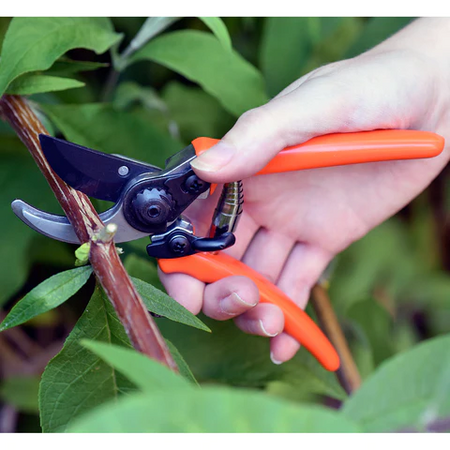 Burgon & Ball RHS Micro Secateur - Orange