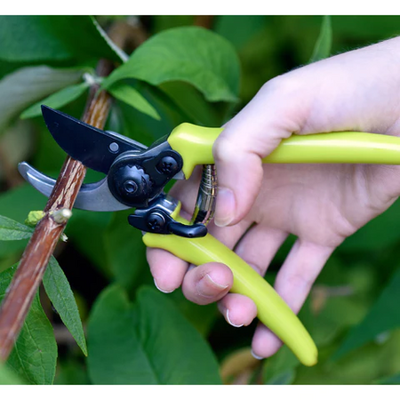 Burgon & Ball RHS Micro Secateurs - Green