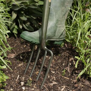 Burgon & Ball RHS Stainless Steel Border Fork