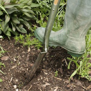 Burgon & Ball RHS Stainless Steel Digging Spade