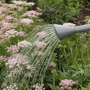 Burgon & Ball Waterfall 5 Litre Stone Watering Can