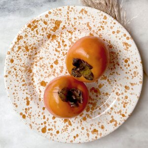 Burnt Orange Paint Splatter Dinner Plate