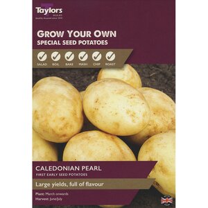 Caledonian Pearl First Early Seed Potatoes (Pack of 10 Tubers)