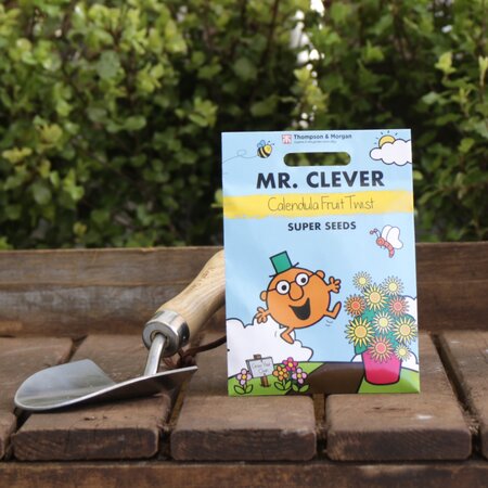 Calendula 'Fruit Twist' Seeds by Mr. Men™ Little Miss™ & Mr Clever