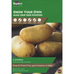 Cammeo Maincrop Seed Potatoes (Pack of 10 Tubers)