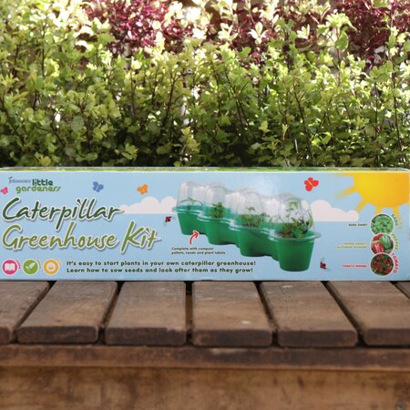 Caterpillar Greenhouse by Little Gardeners