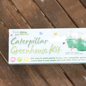 Caterpillar Greenhouse by Little Gardeners