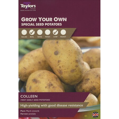 Colleen First Early Seed Potatoes (Pack of 10 Tubers)