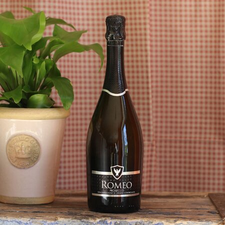 Colli Vicenti - Romeo Prosecco Spumante 75cl